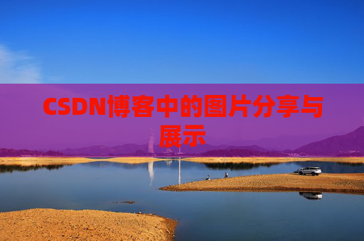 CSDN博客中的图片分享与展示